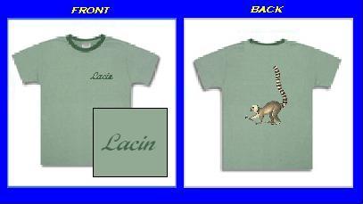 shirts2.jpg